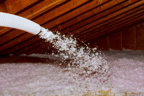 Best Spray Foam Insulation  in Red Springs, NC