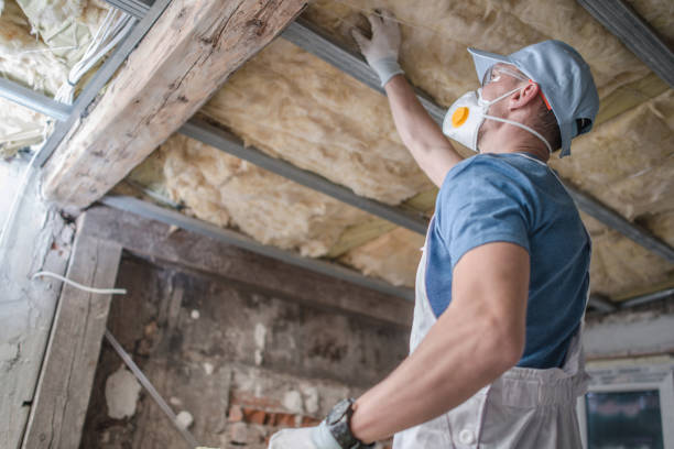 Best Cellulose Insulation  in Red Springs, NC
