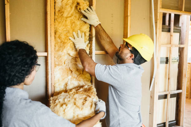 Best Best Insulation Companies  in Red Springs, NC