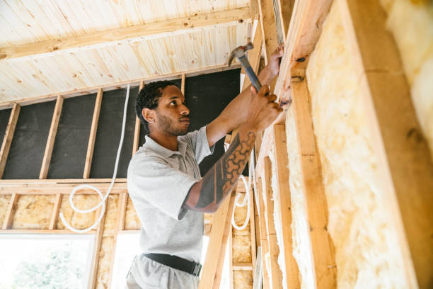 Best Insulation Removal Services  in Red Springs, NC